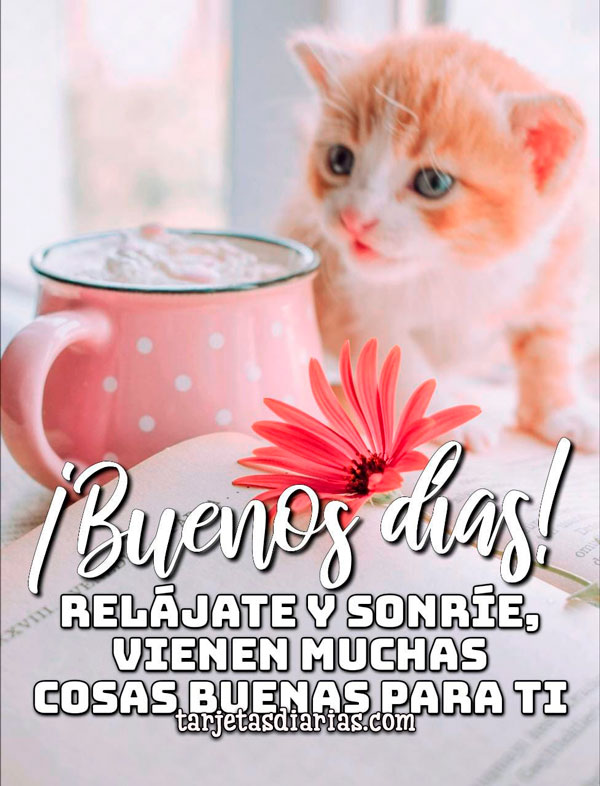 Cuando las cosas se complican, ¡relájate y sigue estos pasos con un twist!