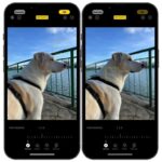 Guía para editar fotos en la app Fotos