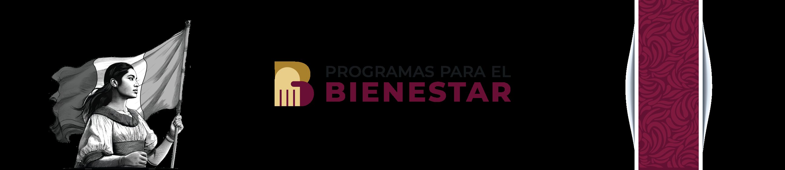 Principales características y funciones de las aplicaciones de bienestar